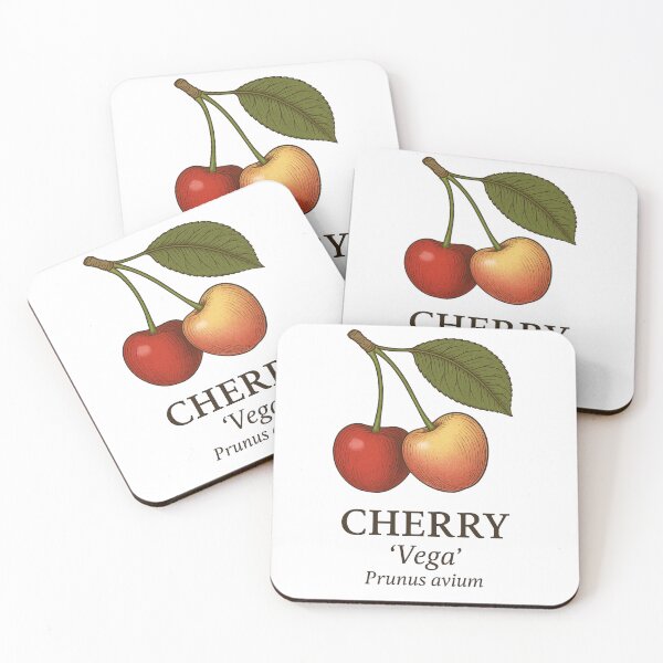 Item preview, Cherry ‘Vega’ – Prunus avium designed and sold by BloomKind.