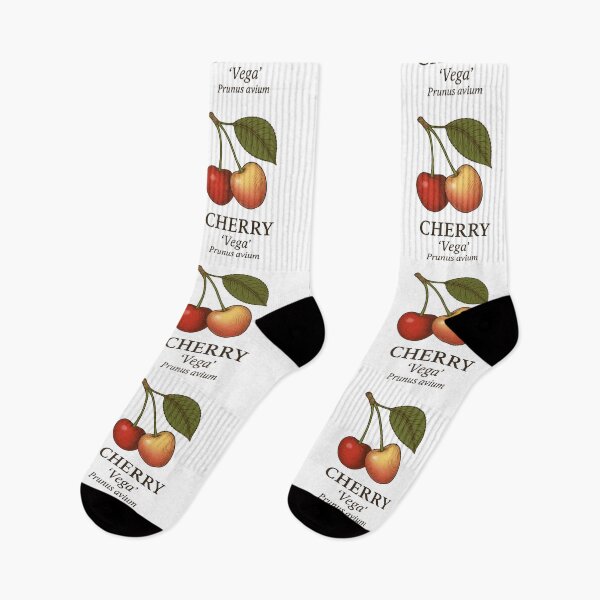 Item preview, Cherry ‘Vega’ – Prunus avium designed and sold by BloomKind.