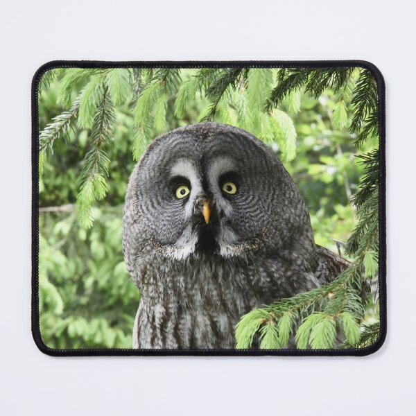 Item preview, The Great Grey Owl – Owl of the North / Swiss Artwork Photography designed and sold by Raphael Wolf.
