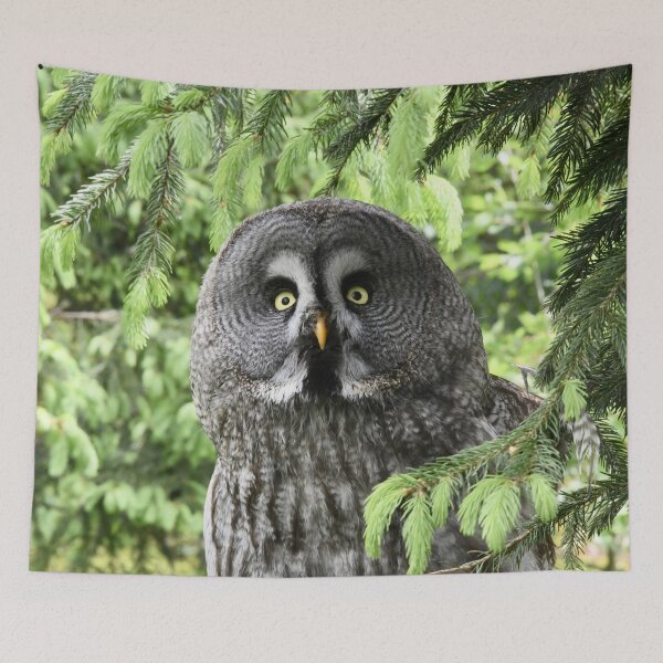 Item preview, The Great Grey Owl – Owl of the North / Swiss Artwork Photography designed and sold by Raphael Wolf.