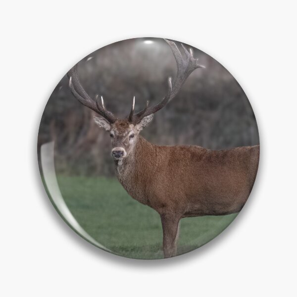 Item preview, Monarch of  Cornwall,  Red Deer, in a field designed and sold by kathleenjean.