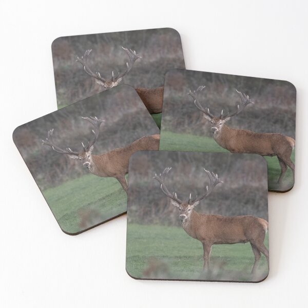 Item preview, Monarch of  Cornwall,  Red Deer, in a field designed and sold by kathleenjean.
