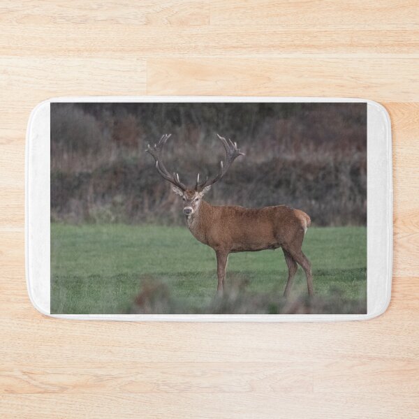 Item preview, Monarch of  Cornwall,  Red Deer, in a field designed and sold by kathleenjean.