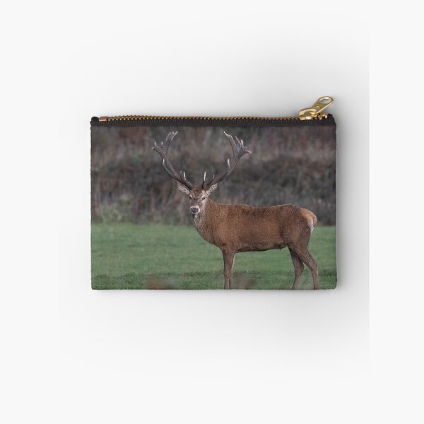 Item preview, Monarch of  Cornwall,  Red Deer, in a field designed and sold by kathleenjean.