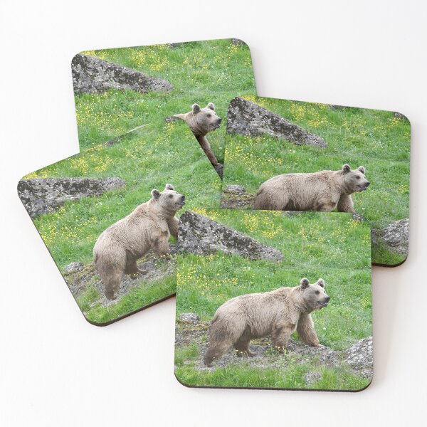 Item preview, Brown Bear – Attentive Scent Hunter / Swiss Artwork Photography designed and sold by Raphael Wolf.