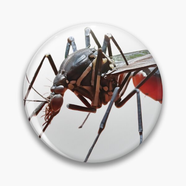 Item preview, Macro Aedes Aegypti Mosquito: Dengue, Zika, and Virus designed and sold by Maldives-Art.