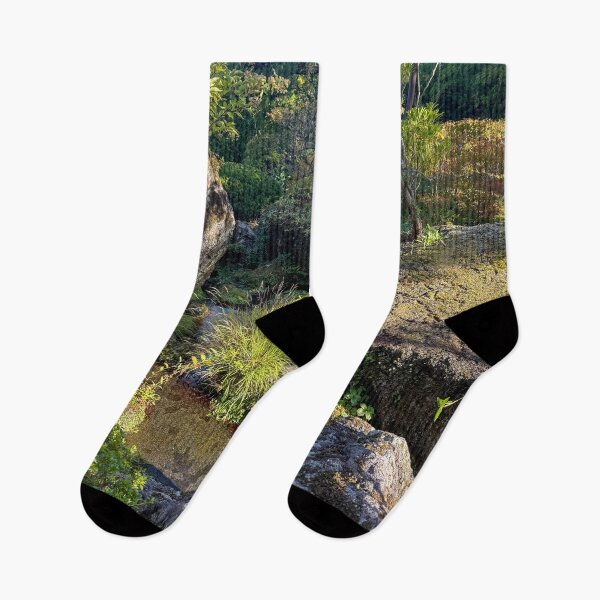 Item preview, The beautiful garden of the Hakone Art Museum in Japan designed and sold by Photopat.