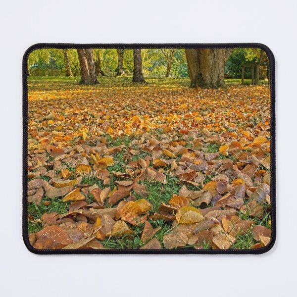 Item preview, Autumn Fallen Leaves at Durham Botanic Garden UK designed and sold by Martyn R Arnold Fine Art Nature & Landscape Photography.