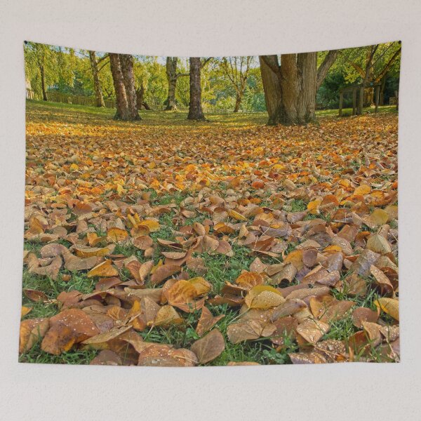Item preview, Autumn Fallen Leaves at Durham Botanic Garden UK designed and sold by Martyn R Arnold Fine Art Nature & Landscape Photography.