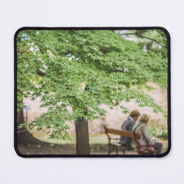 Item preview, Shaded Solace: Green Japanese Maple and Bench Conversation designed and sold by MDB_Shop.
