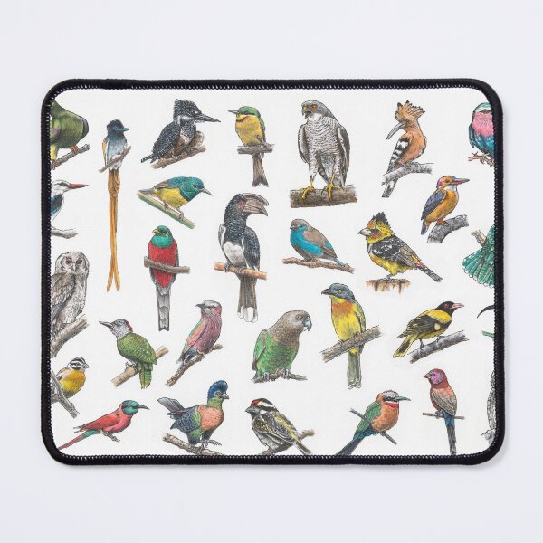 Item preview, Lowveld Birds of South Africa designed and sold by PaddyMorton.