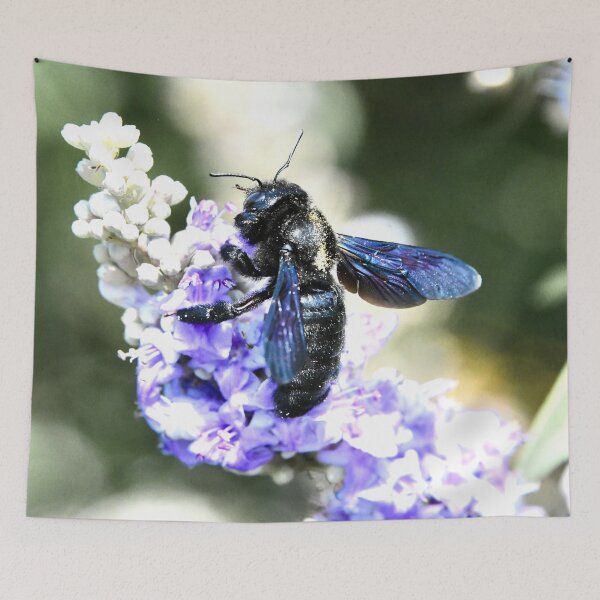 Item preview, Blue Bee 3 / Swiss Artwork Photography designed and sold by Raphael Wolf.