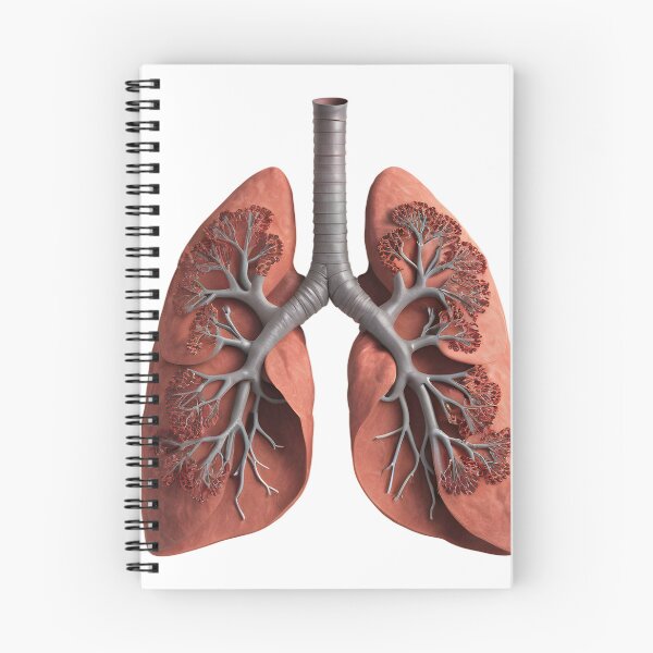 Item preview, Human Lungs and Respiratory System designed and sold by Maldives-Art.