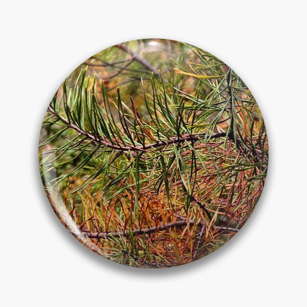 Item preview, Fall Pine Forest - Orange and Green Pine Needle Photography  designed and sold by CozyLilCrafts.