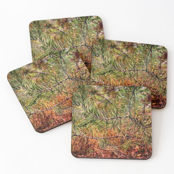 Item preview, Fall Pine Forest - Orange and Green Pine Needle Photography  designed and sold by CozyLilCrafts.