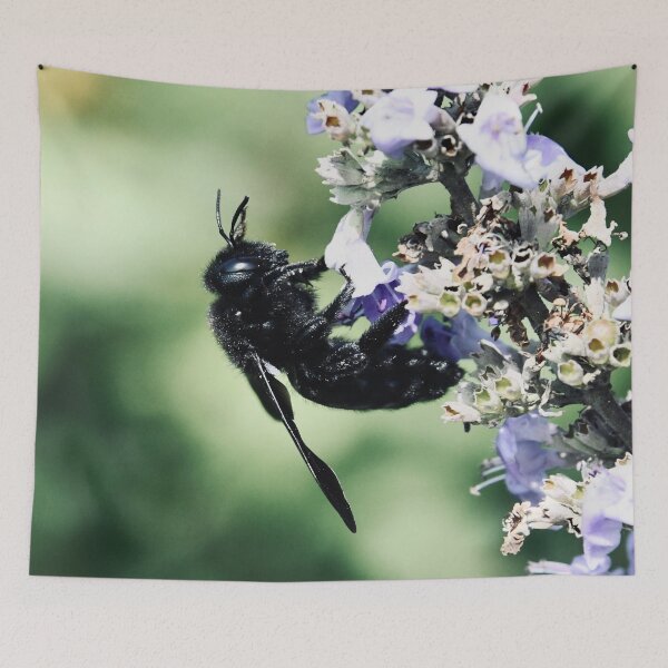 Item preview, Blue Bee 2 / Swiss Artwork Photography designed and sold by Raphael Wolf.