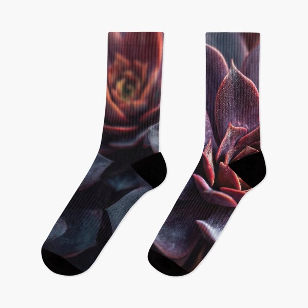 Item preview, Beautiful dark succulents in bloom designed and sold by anytka.