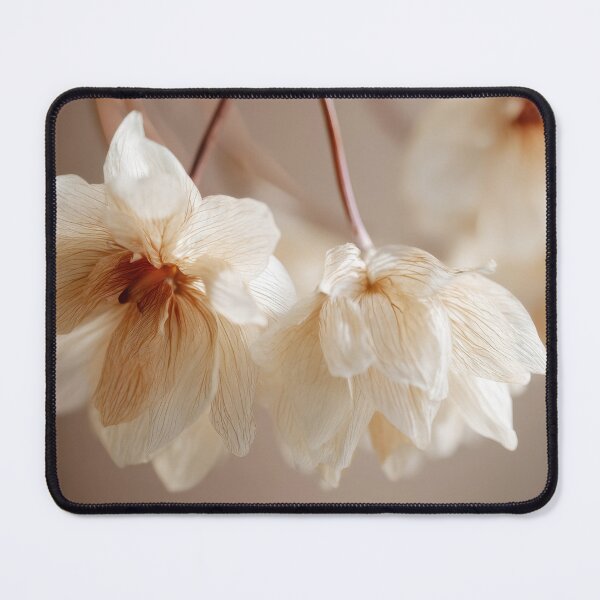 Item preview, Lovely dried flower display designed and sold by anytka.