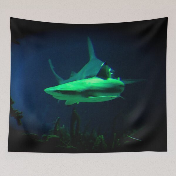 Item preview, Ruler of the Seas – Gigantic Shark in the Shadows / Swiss Artwork Photography designed and sold by Raphael Wolf.