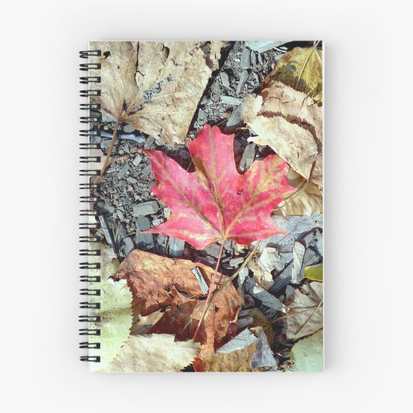 Item preview, red fall leaf photograph letchworth  designed and sold by Kaysart2020.