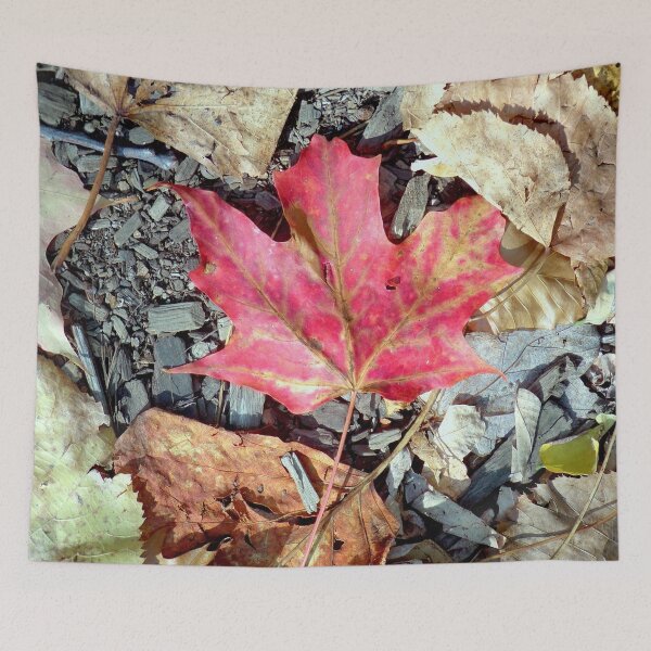 Item preview, red fall leaf photograph letchworth  designed and sold by Kaysart2020.