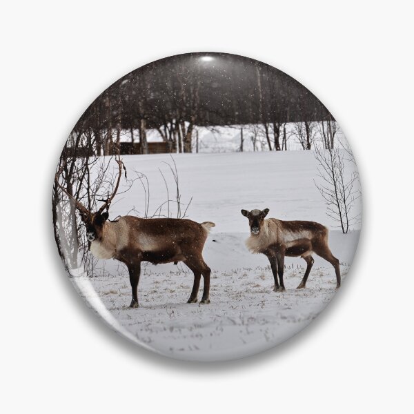 Item preview, Reindeer or Reindeer (Rangifer tarandus) designed and sold by Andreas Koerner.