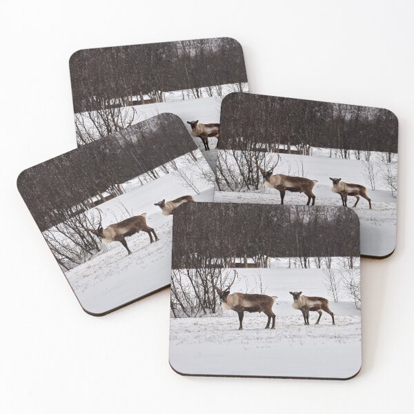 Item preview, Reindeer or Reindeer (Rangifer tarandus) designed and sold by Andreas Koerner.