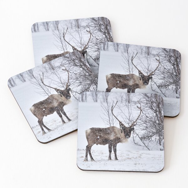 Item preview, Reindeer or Reindeer (Rangifer tarandus) designed and sold by Andreas Koerner.