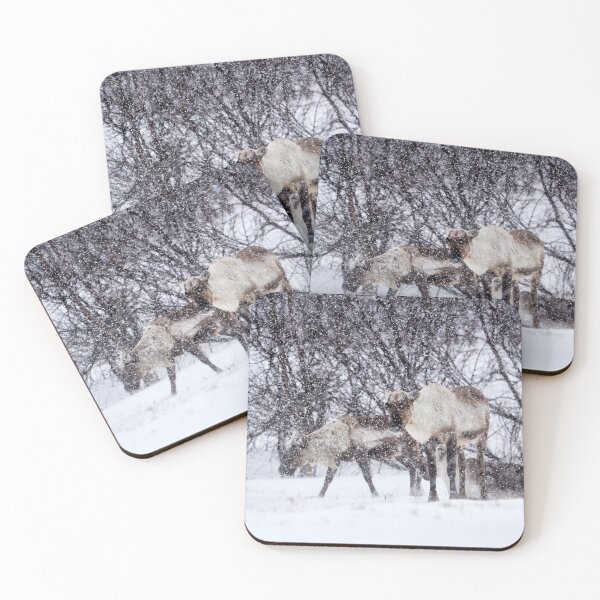 Item preview, Reindeer or Reindeer (Rangifer tarandus) designed and sold by Andreas Koerner.