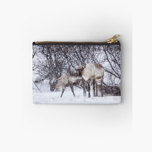 Item preview, Reindeer or Reindeer (Rangifer tarandus) designed and sold by Andreas Koerner.