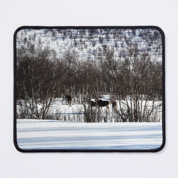 Item preview, Elk (Alces alces) designed and sold by Andreas Koerner.