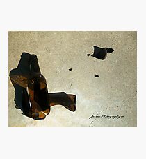 Broken Promise's Photographic Print