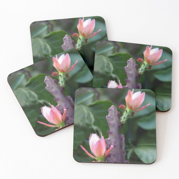 Item preview, Cactus Flowers designed and sold by heatherfriedman.