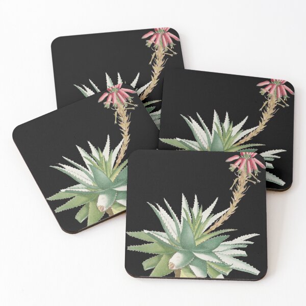 Item preview,  Aloe Rhodacantha (Aloe Glauca Miller) designed and sold by AngyDesigns49.