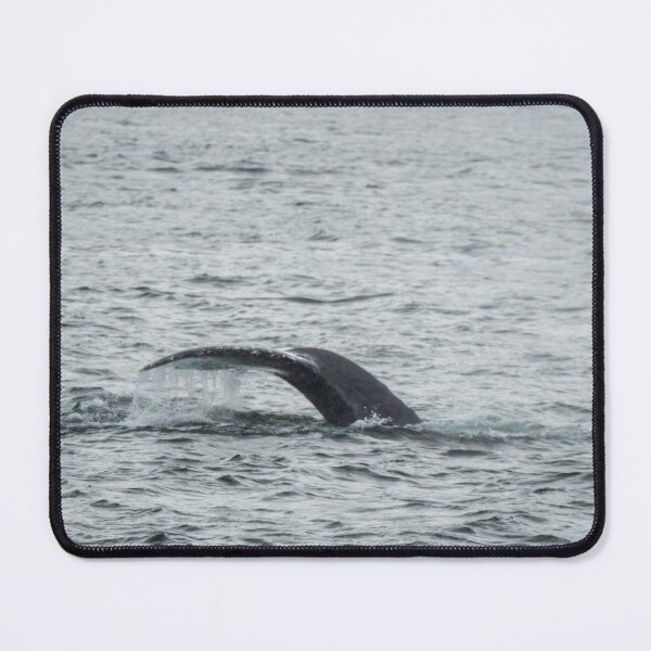 Item preview, Dripping Whale Tail designed and sold by TinyDinoDesigns.