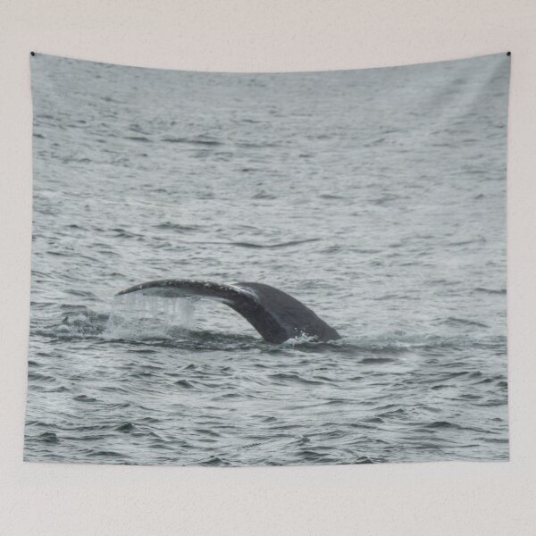 Item preview, Dripping Whale Tail designed and sold by TinyDinoDesigns.