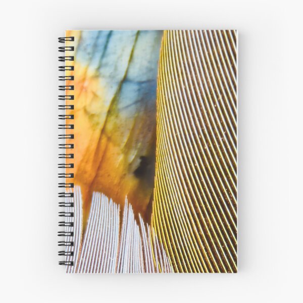 Item preview, Three feathers – delicate labradorite in the background / Swiss Artwork Photography designed and sold by Raphael Wolf.