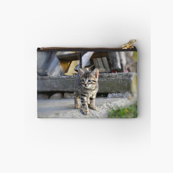 Item preview, Curious baby kitten – exploring the world / Swiss Artwork Photography designed and sold by Raphael Wolf.