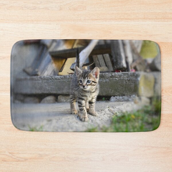 Item preview, Curious baby kitten – exploring the world / Swiss Artwork Photography designed and sold by Raphael Wolf.