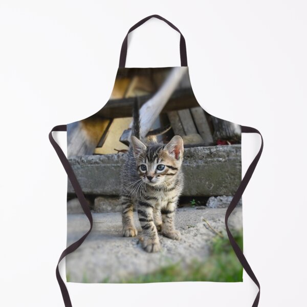 Item preview, Curious baby kitten – exploring the world / Swiss Artwork Photography designed and sold by Raphael Wolf.