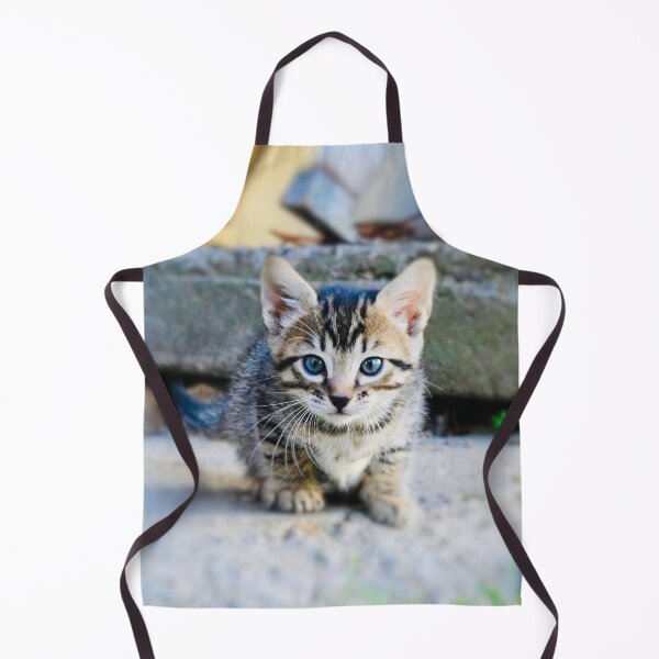 Item preview, Baby kitten – Curious on a journey of discovery / Swiss Artwork Photography designed and sold by Raphael Wolf.
