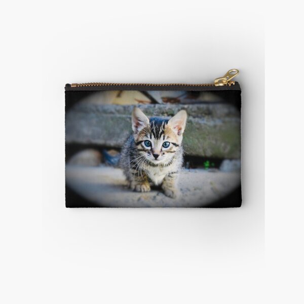 Item preview, Baby cat in focus – Discovering the world / Swiss Artwork Photography designed and sold by Raphael Wolf.