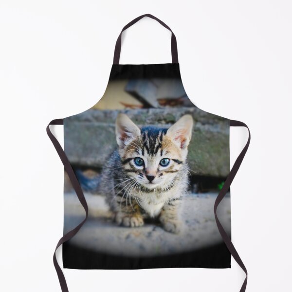 Item preview, Baby cat in focus – Discovering the world / Swiss Artwork Photography designed and sold by Raphael Wolf.