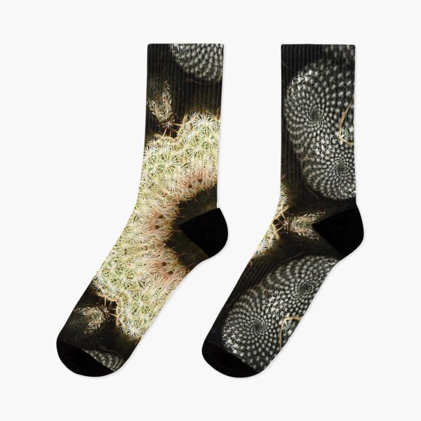 Item preview, Cacti – Kaleidoscopic composition with luminous spines / Swiss Artwork Photography designed and sold by Raphael Wolf.