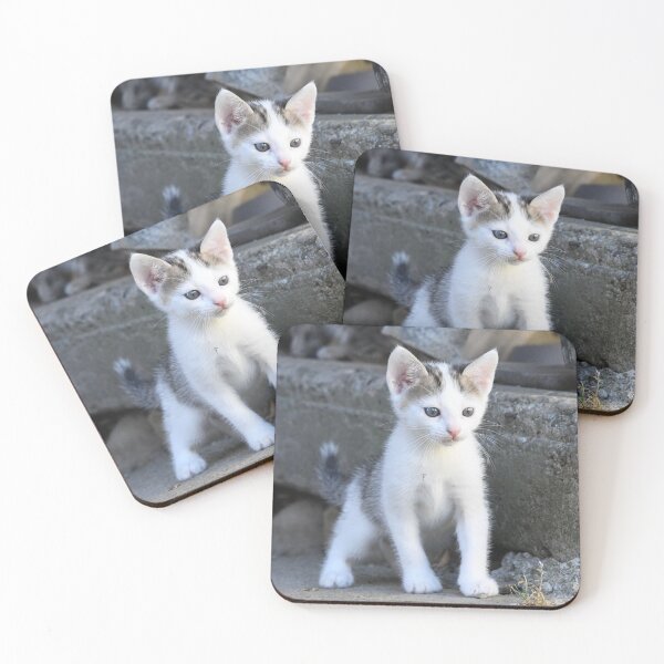 Item preview, Curious baby kitten – On a discovery tour / Swiss Artwork Photography designed and sold by Raphael Wolf.