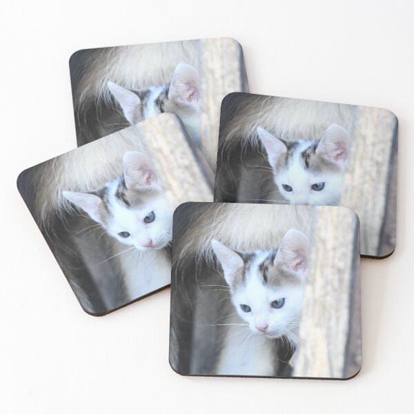 Item preview, Baby kitten – Curiously peering from the corner / Swiss Artwork Photography designed and sold by Raphael Wolf.