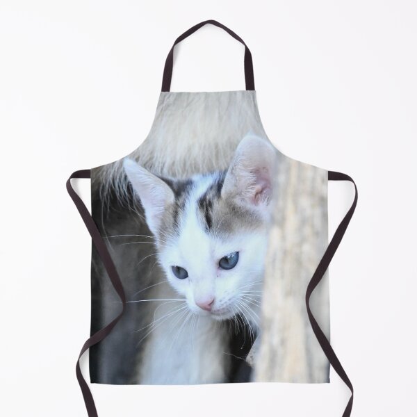 Item preview, Baby kitten – Curiously peering from the corner / Swiss Artwork Photography designed and sold by Raphael Wolf.