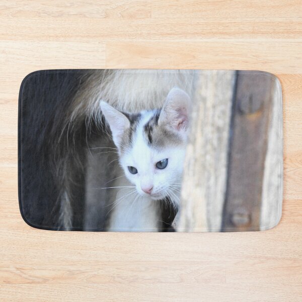 Item preview, Baby kitten – Curiously peering from the corner / Swiss Artwork Photography designed and sold by Raphael Wolf.