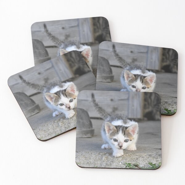 Item preview, Baby kitten on the prowl – awake and curious / Swiss Artwork Photography designed and sold by Raphael Wolf.
