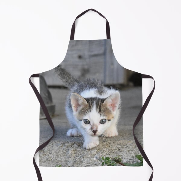 Item preview, Baby kitten on the prowl – awake and curious / Swiss Artwork Photography designed and sold by Raphael Wolf.